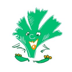 graines-coriandre-bio-box semer la coriandre dans le potager | les petits radis